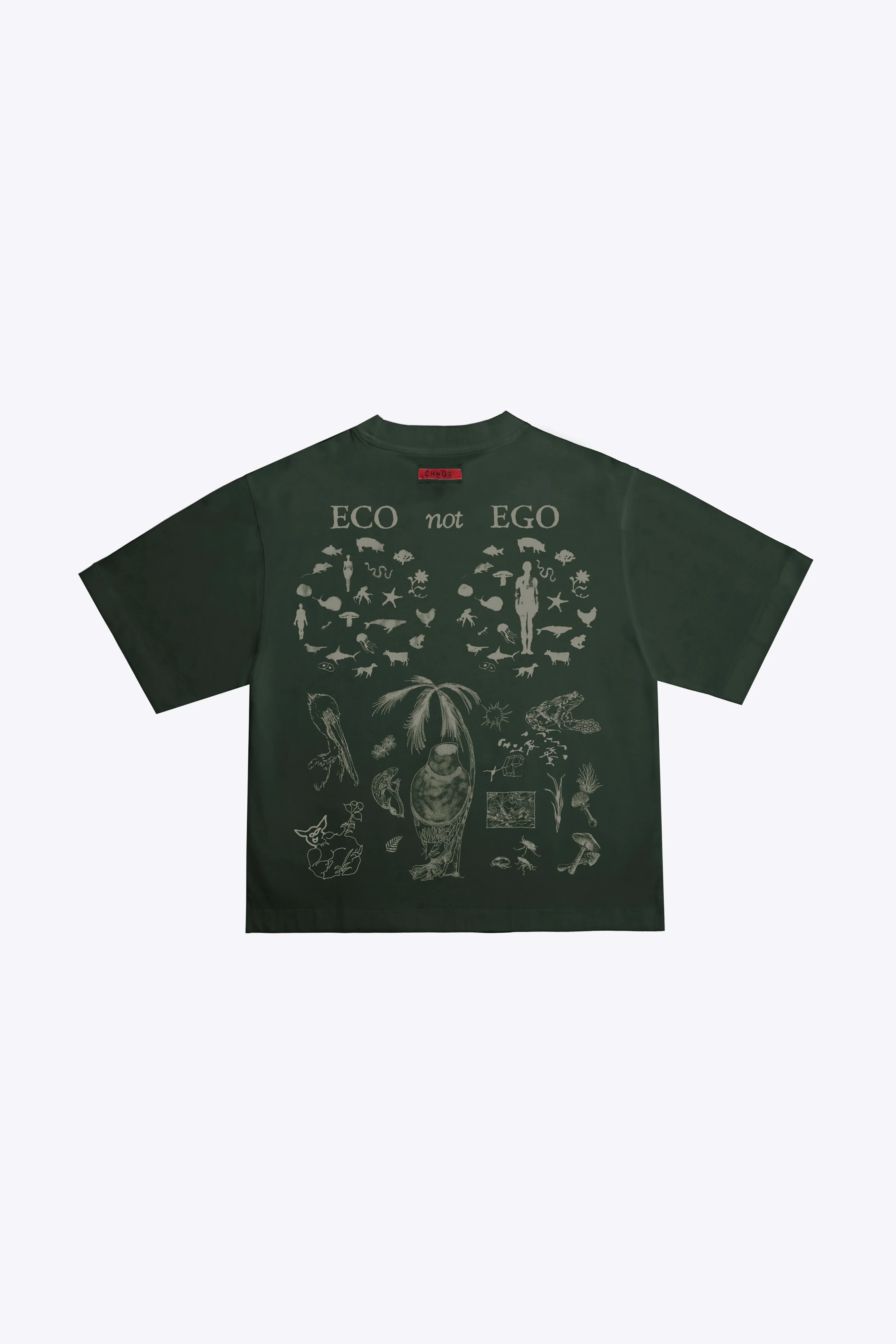 New Arrivals 26